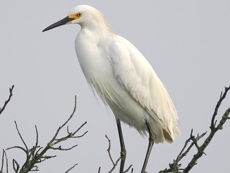 Back to Quonnie & Missing Ed