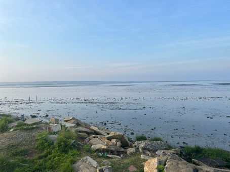 South Jersey -- Matt's Landing