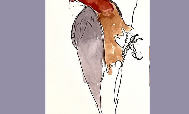 Red-necked Woodpecker
