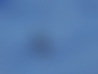 Still in the Tropics