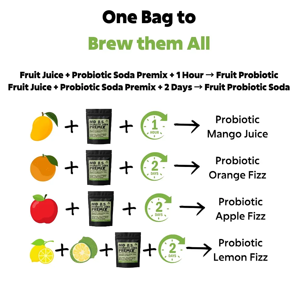 Thumbnail: Picture of simple recipes to brew with Probiotic Premix