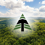 EU Parliament and Council Agree: EUDR To Be Delayed Again