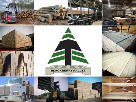 The complete vertical integration of Blackberry Pallet, showing quality control from raw timber logs and sawmill production to stacked, finished hardwood pallets