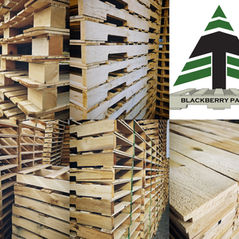 Exceeding ISPM 15 Compliance Standards for VA Manufacturers