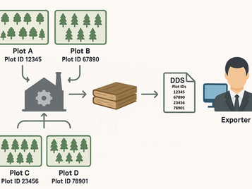 Flowchart showing EUDR timber traceability system from forest to exporter. Includes four U.S. forest plots with unique Plot IDs (12345, 67890, 23456, 78901), sawmill processing, and creation of a Due Diligence Statement (DDS) for EU deforestation regulation compliance.