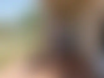 A couple stands on the porch of a Miami home next to piled sandbags, reviewing a document about flood insurance requirements while pointing towards a canal across the street.