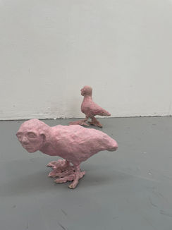 Bird Beings
