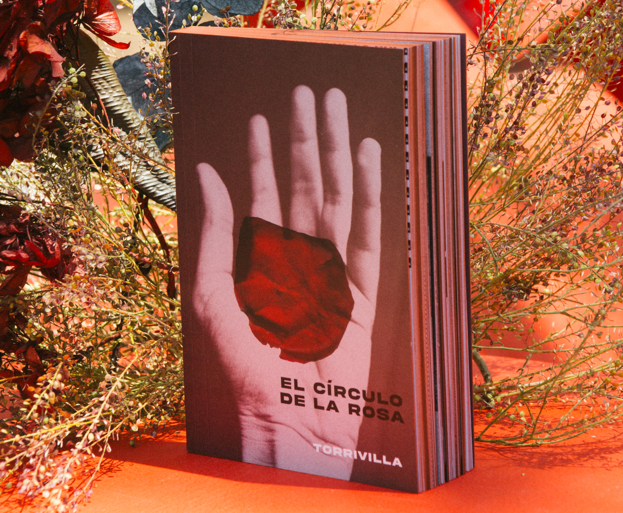 El círculo de la rosa — Torrivilla