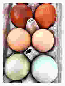 JPEG image-DCA8B88668C2-1