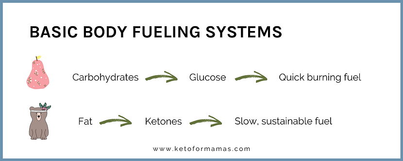 Basic Body Fueling Systems (10).png