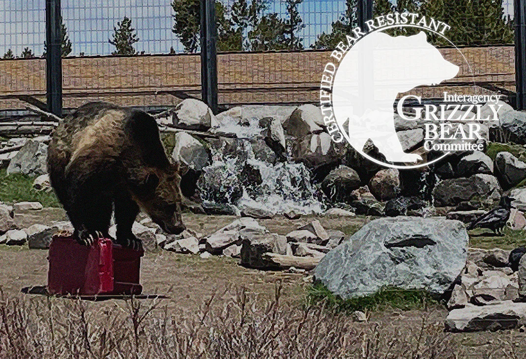 bearresistant_254f0862-4403-4879-b2c1-550b203d6874.webp