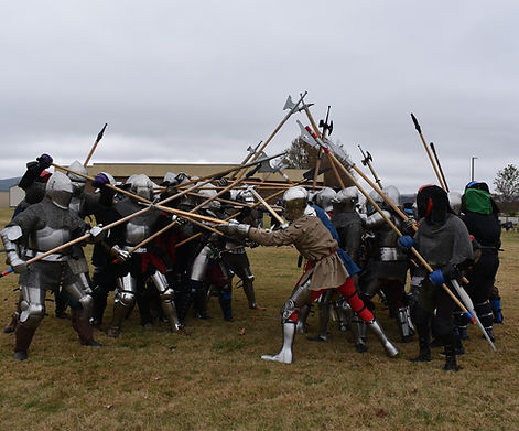 HEMA Battle Demo