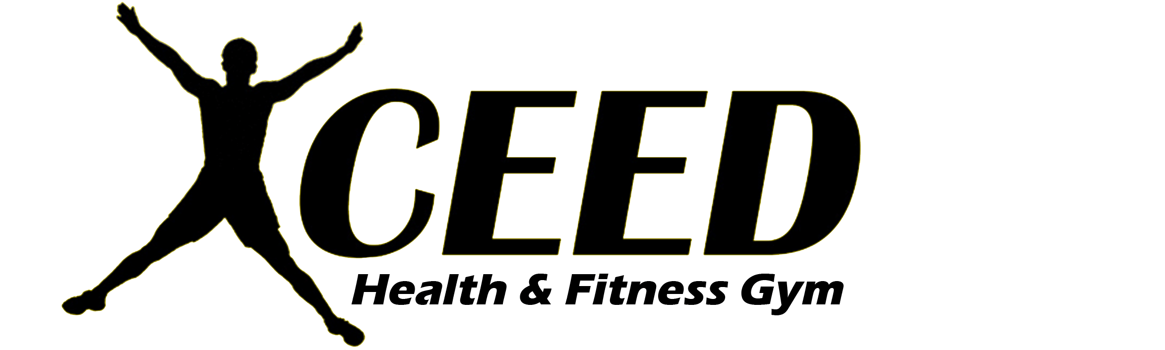 Xceed Health and Fitness Gym Dunedin