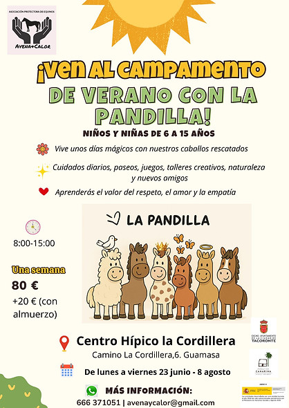 Cartel Campamento de Verano para Niños Infantil Sencillo Bonito Verde y Amarillo.jpg