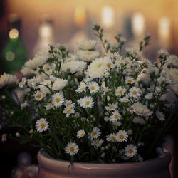 ЭТО ЗАГОЛОВОК