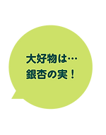 nannan-04.png