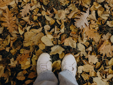 Warum der Herbst für mich die schönste Zeit für Familien- und Paarfotos ist