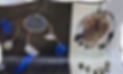 Two dreamcatchers, one blue and white, one with fur and feathers