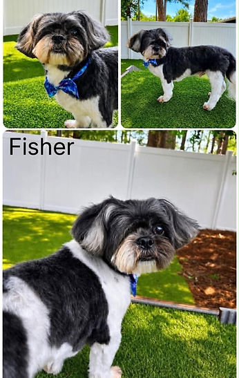 Fisher