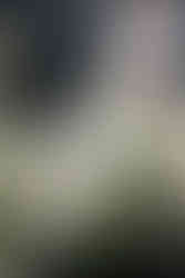 classic wedding floral centrepiece