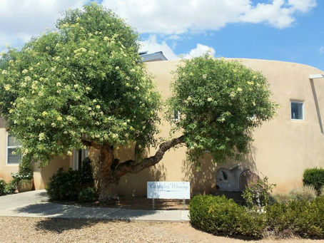 Corrales Wine Loop [August 2015]