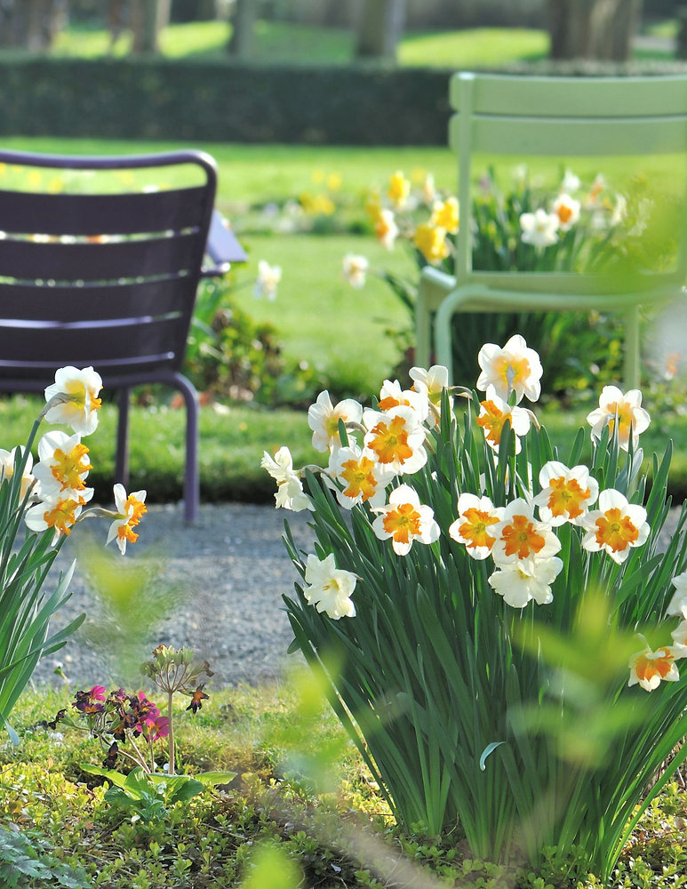 The Garden Lenormand Card Combinations