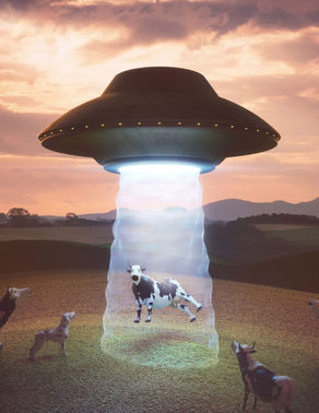 The Different Types of Aliens