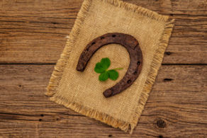 The Clover Lenormand Card Combinations, Card #2