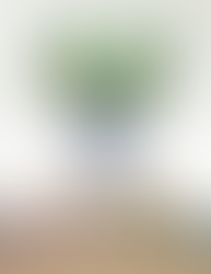 Learning Lenormand- Card #20, Garden