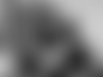 Comment Sonne La Loire ? Elle sonne "Franc bien !"