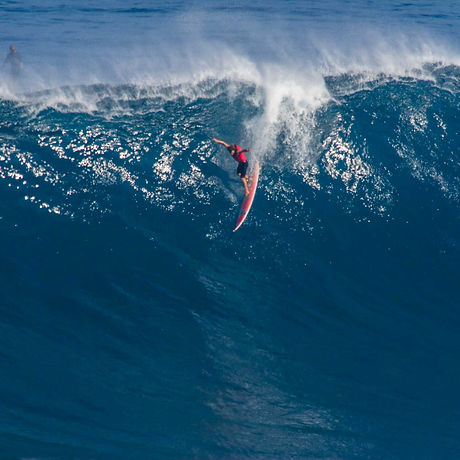 jaws nick ricca.jpg