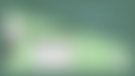 PANDA-Strategien (Teil 5): Adaptation - Anpassungen