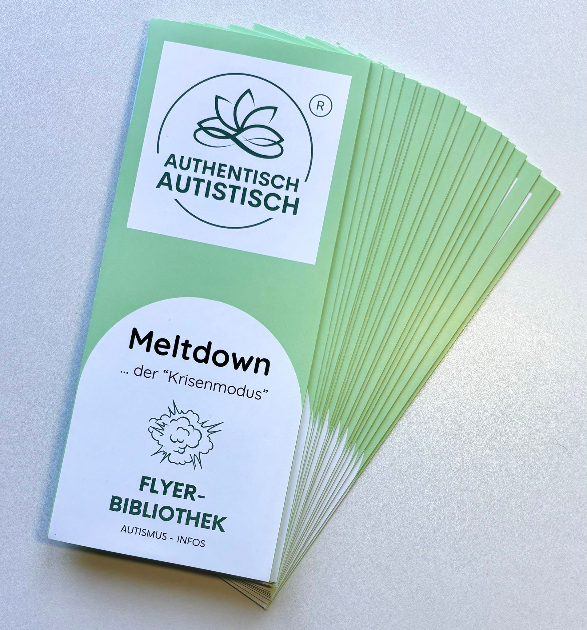 Bild von einem Flyer mit der Aufschrift: Meltdown