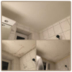fullsizeoutput_47.jpeg