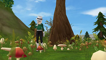 StarStable 2020-10-29 10-04-34.png