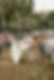 GB1A3053-130.jpg