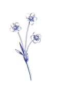 Untitled design (1).png
