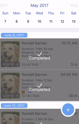 DoTimely Ex Video_2.gif