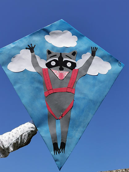 Parachuting Raccoon