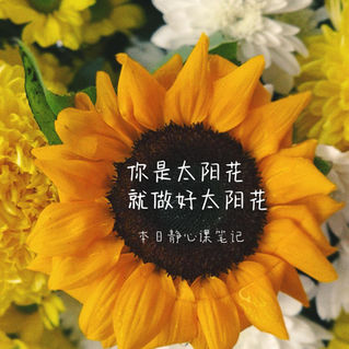 上完课就收到太阳花