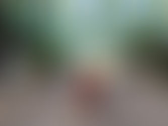 Nassau, Bahamas Travel Guide (2026): Top Things to See, Eat & Do