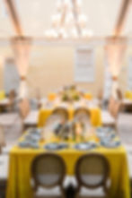 Gayle Brooker Photography