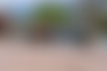 The Legislative Session Is Over, But The Work Continues: 2 Ways to Take Action This Week!