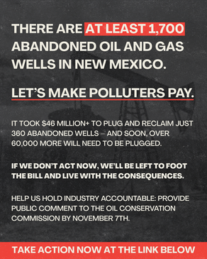 Act Now: Hold Polluters Accountable, Protect Our Water, & Advance Energy Democracy