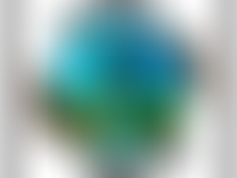 A Year Of New Beginnings: Support 2 New Projects At Earth Care| Un Año De Nuevos Comienzos: Apoya Dos Nuevos Proyectos En Earth Care.