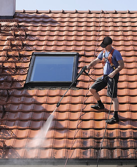 Roof Cleaning