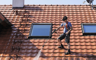 Roof Cleaning