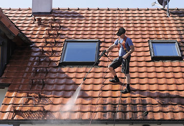 Roof Cleaning