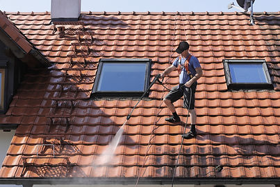 Roof Cleaning