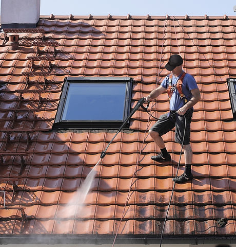 Roof Cleaning